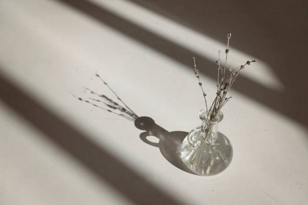 istock Tranquil background, a vase with dried lavender flowers on a white floor in a frame from the light from the window 1310747227