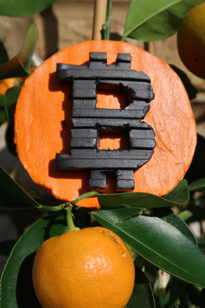 istock Model of a Bitcoin sign positioned on a small tree growing oranges 1310748187