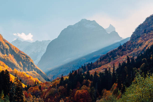 istock Rocky mountains and autumnal forest. High mountain landscape and amazing sun rays 1310748708