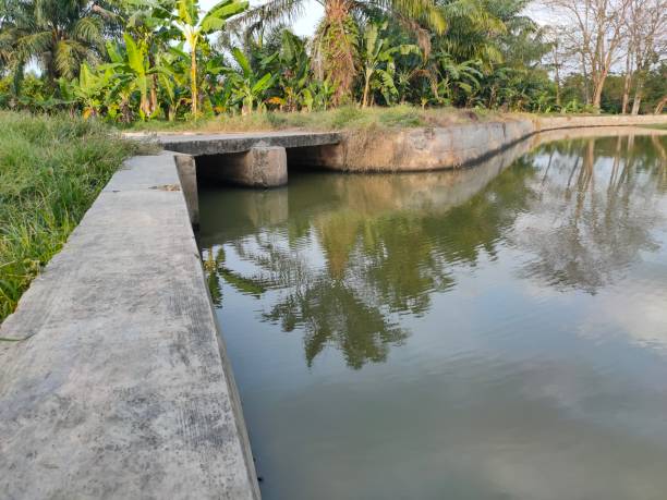 istock Lake water irrigation 1310753269