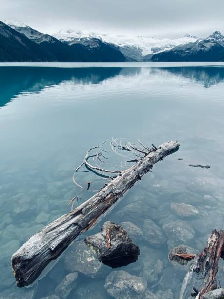 istock Garibaldi Lake in autumn, BC, Canada 1310755728