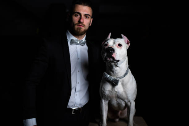 An attractive young man in a suit and his Staffordshire Bullterrier are posing for a photo in the dark wearing matching bow ties