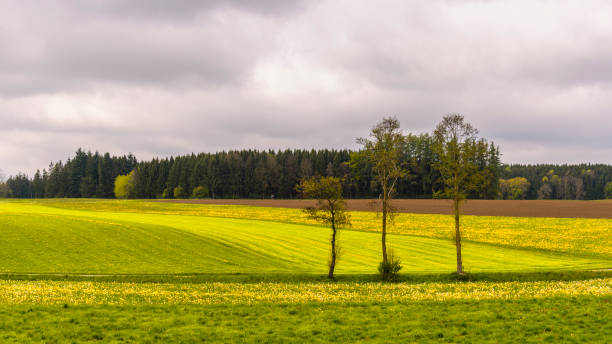 istock countryside landscape during the spring season 1310759339