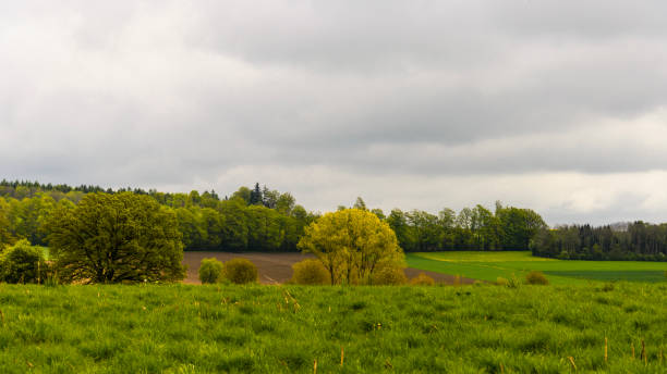 istock countryside landscape during the spring season 1310759340