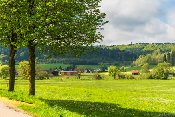 istock countryside landscape during the spring season 1310760553