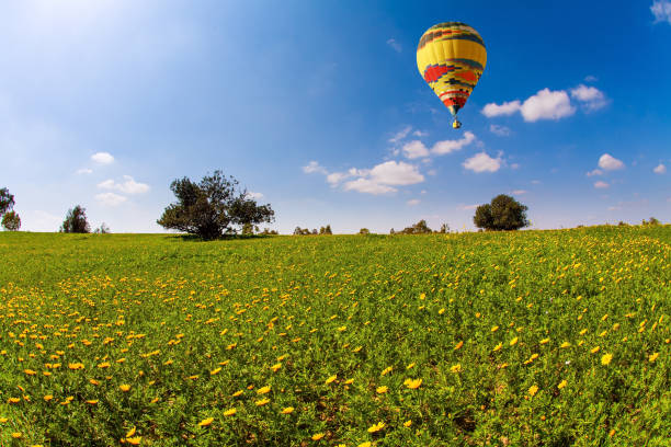 istock The hot air balloon flies 1310760886