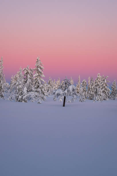 istock Amazing winter landscape on hedmarksvidda in innlandet county norway 1310763413