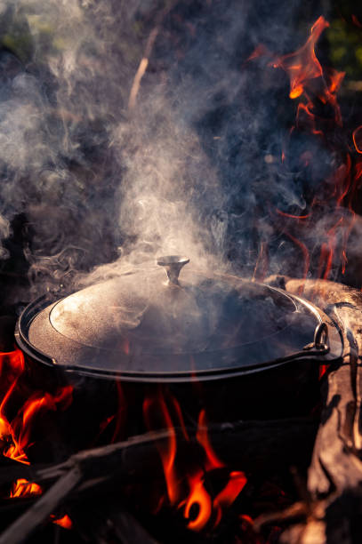 istock Outdoor Cooking with an cast iron pot on a open fire 1310763453