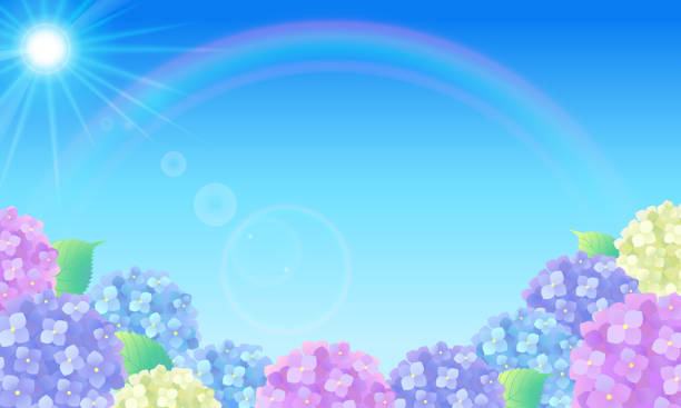 illustrazioni stock, clip art, cartoni animati e icone di tendenza di sfondo illustrazione vettoriale (paesaggio) dopo la pioggia dove il cielo blu, l'arcobaleno, l'ortensia e la luce del sole sono abbaglianti - stagione delle piogge