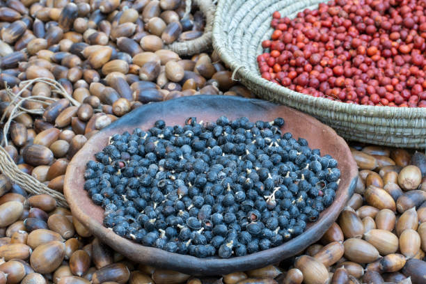 istock Fall harvest of wild foods 1310766069