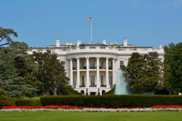 White House in Washington DC White House in Washington DC with with garden and blue sky white house exterior stock pictures, royalty-free photos & images