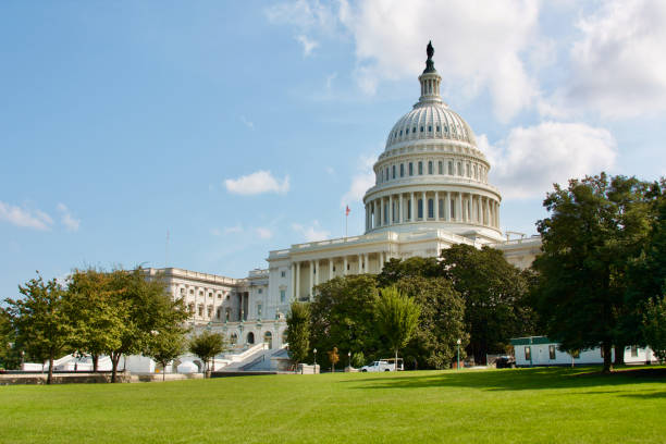 istock The Capitol in Washington DC (USA) 1310766934