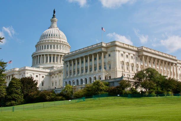 istock The Capitol in Washington DC (USA) 1310766974
