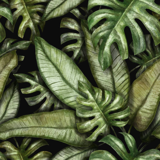 istock Watercolor pattern of green tropical leaves. Tropical background with monstera leaves. 1310772164
