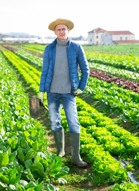 istock Man farmer with hoe in hand standing in the farm 1310773462