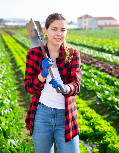 istock Young woman using a chopper treats beds 1310773469