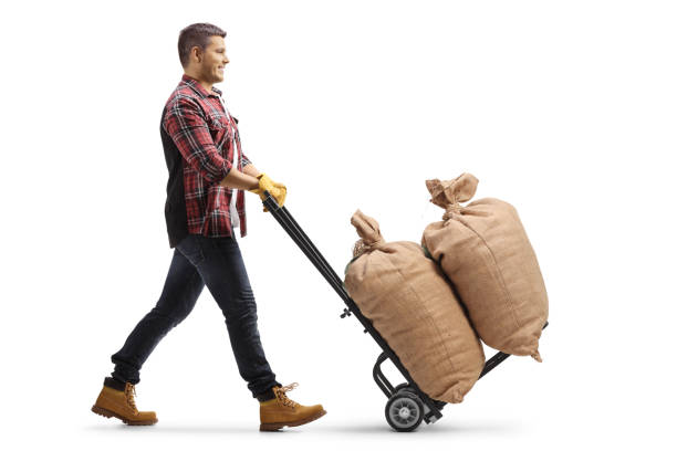 istock Man pushing burlap sacks on a hand truck 1310774563