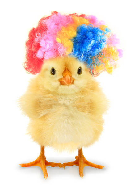 istock Crazy chick with even crazier hair isolated on white background 1310778365