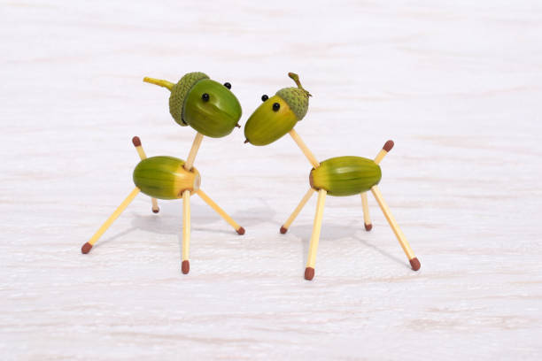 Figurines made of acorns