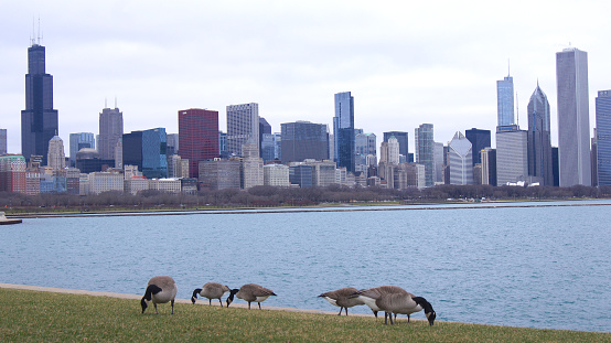 Chicago, Illinois, United States - Dec 11Th, 2015: Chicago skyline as seen from the Adler Planetarium.