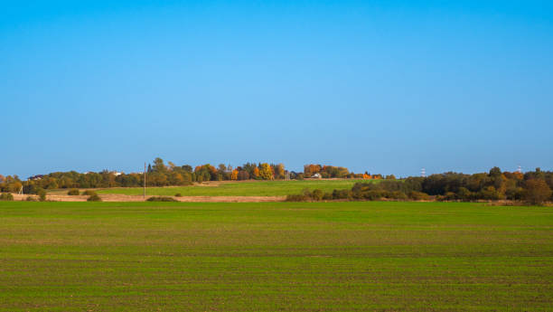 istock Panoramic view of green grass on slope with blue sky 1310782162