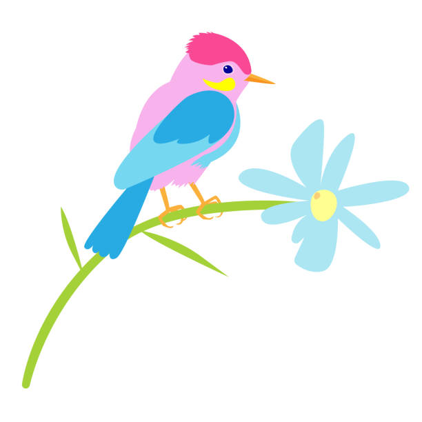 Robin Blue Vector 180+ Robin Egg Blue Background Illustrations, Royalty-Free Vector ...