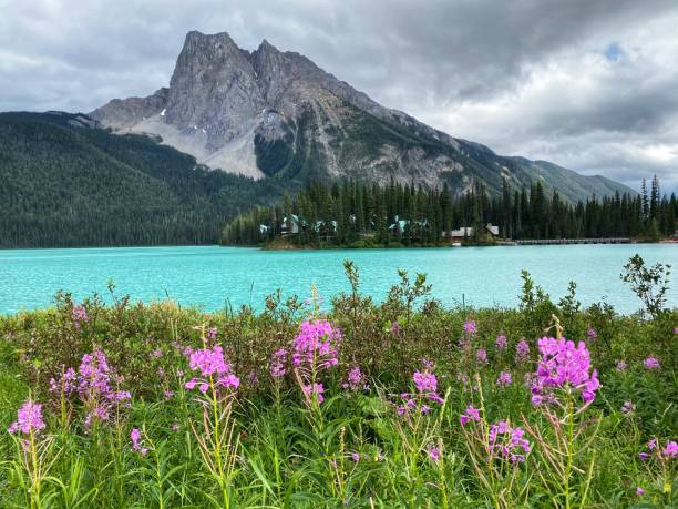 istock Emerald lake, Yoho National Park, BC, Canada 1310782856