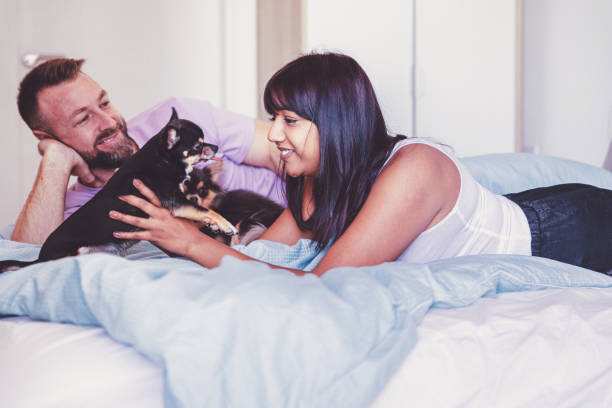 istock Diverse couple with their Chihuahuas 1310784034