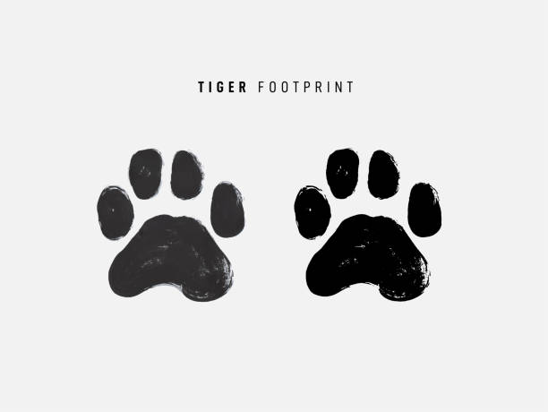 istock Tiger step icon. Brush stroke illustration of tiger footprint step icon for web. Dog, cat, bear paw symbol flat pictogram. Vector illustration. Isolated on white background. 1310784276
