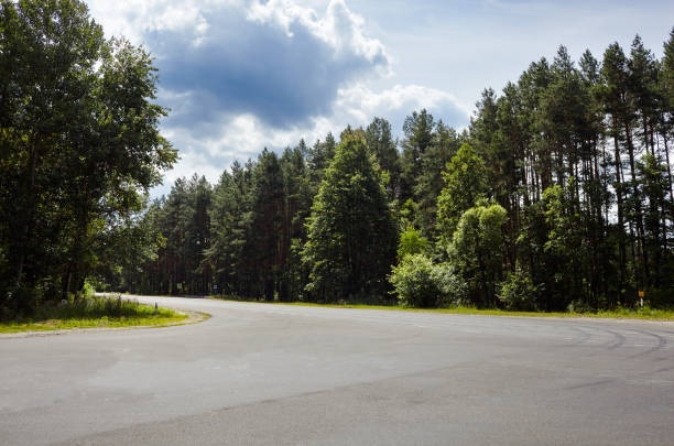 istock Road with green trees against cloudy blue sky 1310785965