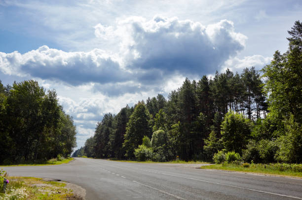 istock Road with green trees against cloudy blue sky 1310785973
