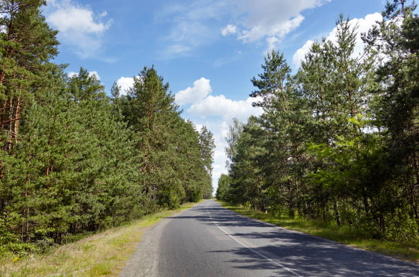 istock A bend road at rural Europe 1310785978