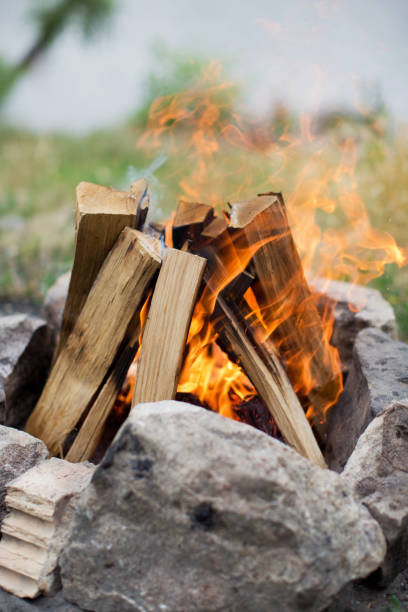 istock Bonfire with burning logs near lake 1310787163