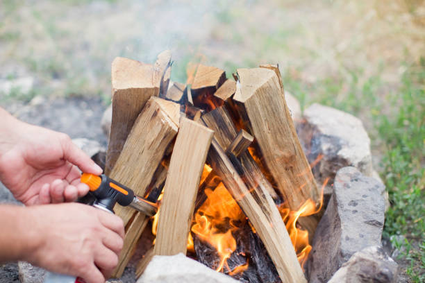 istock Bonfire with burning logs near lake 1310787188