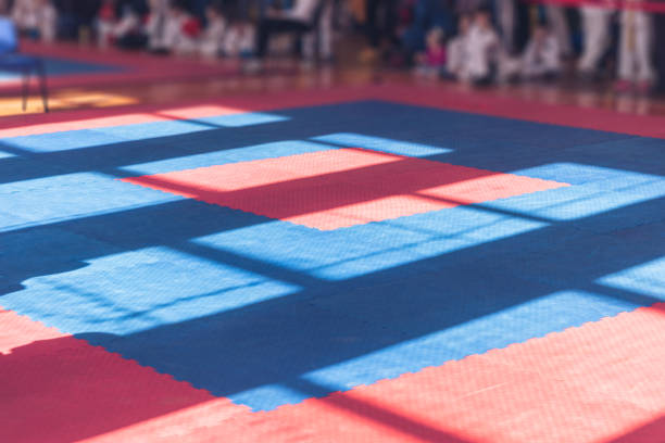 스포츠 배경. 가라데, 태권도 연습을 위한 전통적인 부드러운 바닥 커버의 붉은 파란색 색상. - dojo 뉴스 사진 이미지
