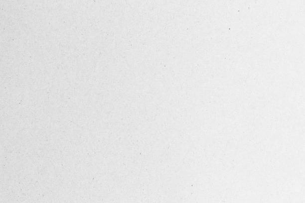 istock White  paper background texture light rough textured spotted blank copy space background 1310789625