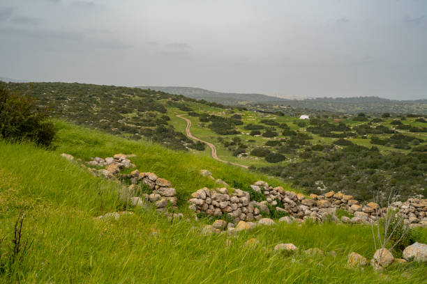 A view of the Adullam region of Israel from the archeological site of Khirbat Umm Burj, on a hazy day.