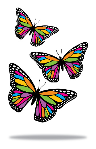 Vector illustration of three colorful butterflies flying with a shadow beneath them.