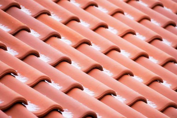 istock Close up of a roof surface 1310793693