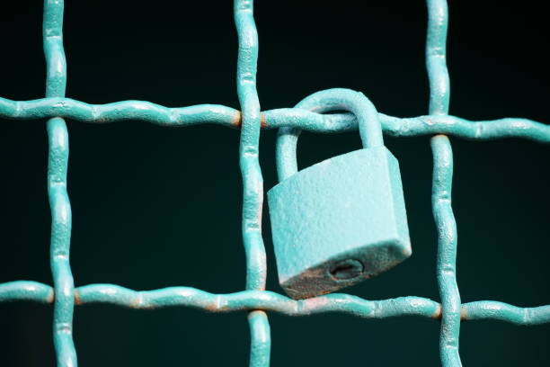 Padlock on a metal fence, painted green