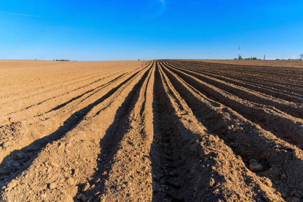 istock Simple country landscape with plowed fields and blue skies. 1310796149