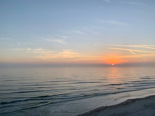 istock Sunrise by the Sea 1310798681