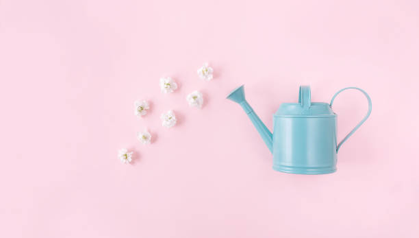 istock Watering can with flowers on pink background. 1310801691