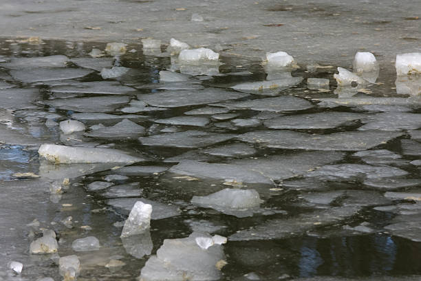 istock fragments of melting ice in a spring pond 1310804202