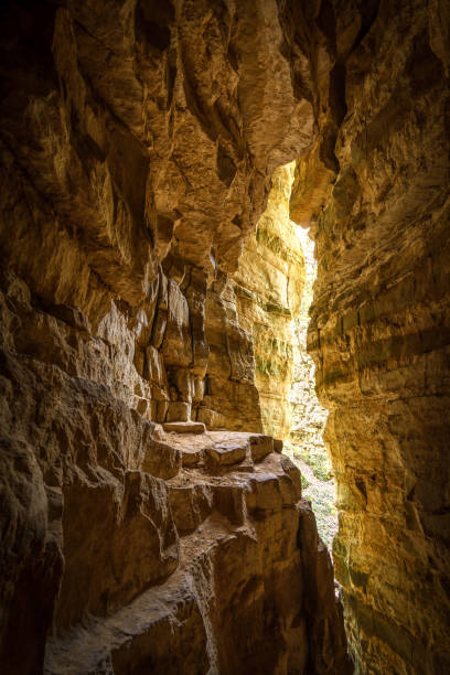 istock looking out from a yellow rock crevice in daylight 1310807859