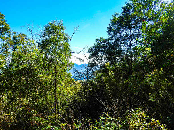 istock Porepunkah, Victoria, Australia 1310808753
