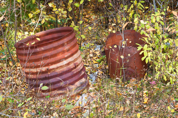 Random scrap metal sitting in the bushes.