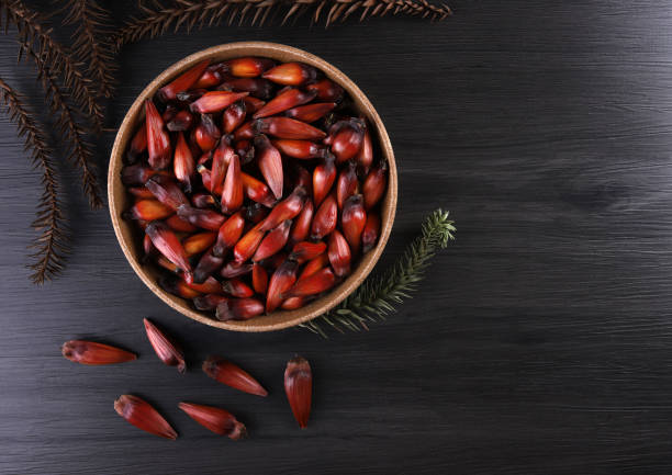 Typical araucaria seeds used as a condiment in Brazilian cuisine in winter. Brazilian pinion nuts in brown and red wooden bowl on gray wooden background Typical araucaria seeds used as a condiment in Brazilian cuisine in winter. Brazilian pinion nuts in brown and red wooden bowl on gray wooden background. pinion stock pictures, royalty-free photos & images