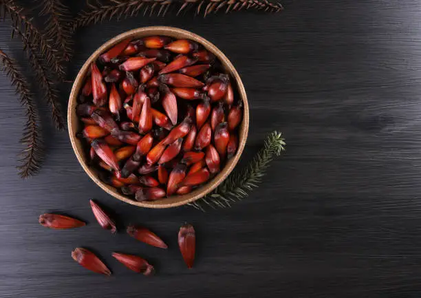Typical araucaria seeds used as a condiment in Brazilian cuisine in winter. Brazilian pinion nuts in brown and red wooden bowl on gray wooden background.