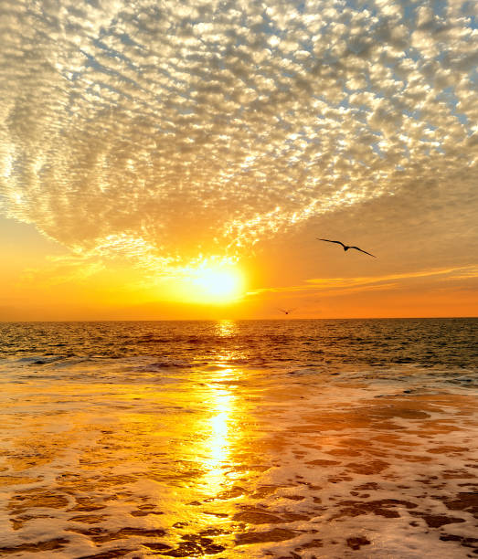 istock Inspiration Sunset Ocean Birds Vertical 1310822279